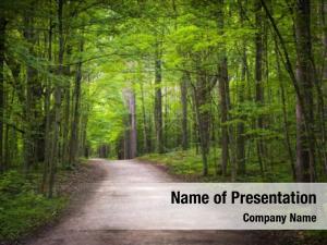 Forest Trail PowerPoint Template