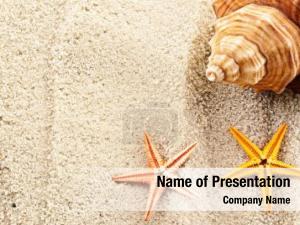 Marine Themed PowerPoint Template