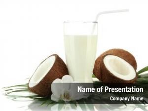 Bunch of coconut PowerPoint Template - Bunch of coconut PowerPoint ...