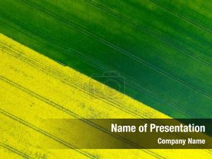 Abstract Fields PowerPoint Template