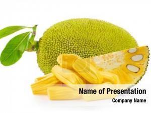 Jackfruit   PowerPoint Template