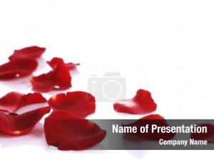 Rose Petal PowerPoint Template