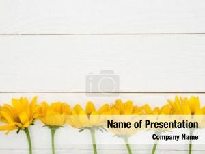 Yellow Flowers