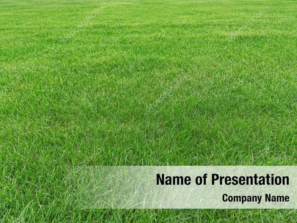 Green Abstract Grass