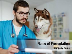Confident veterinarian