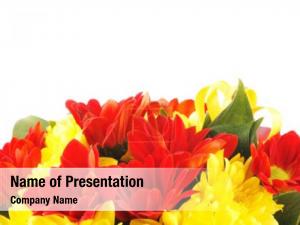 Yellow Red Flowers PowerPoint Template
