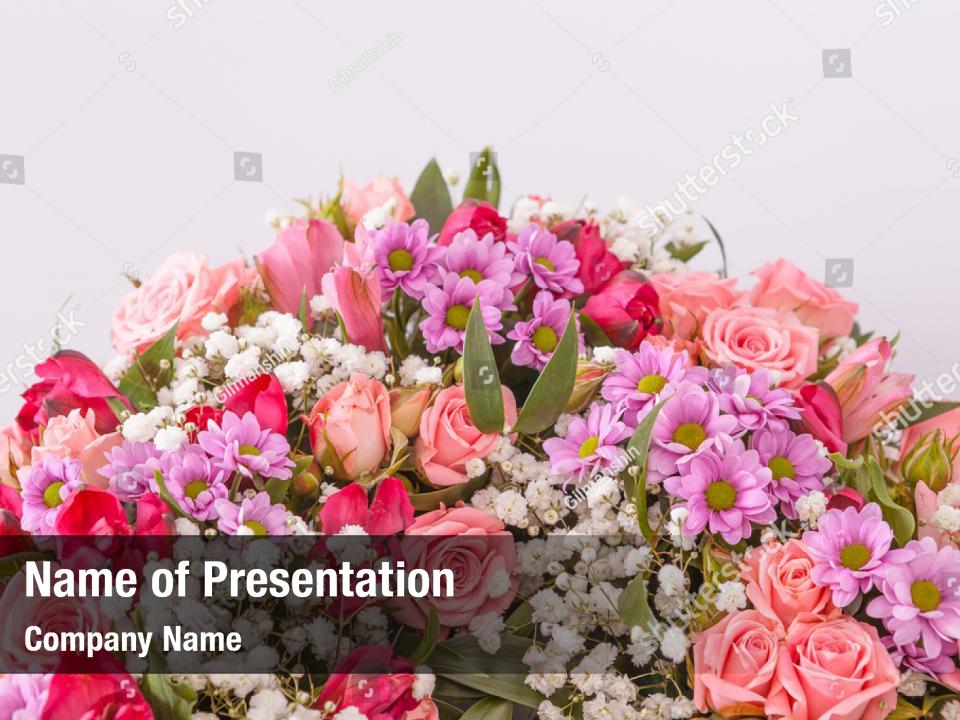 Flowering abstract floral aster PowerPoint Template