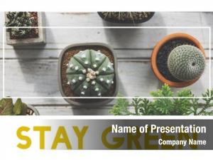 Botany PowerPoint Templates - Botany PowerPoint Backgrounds, Templates ...