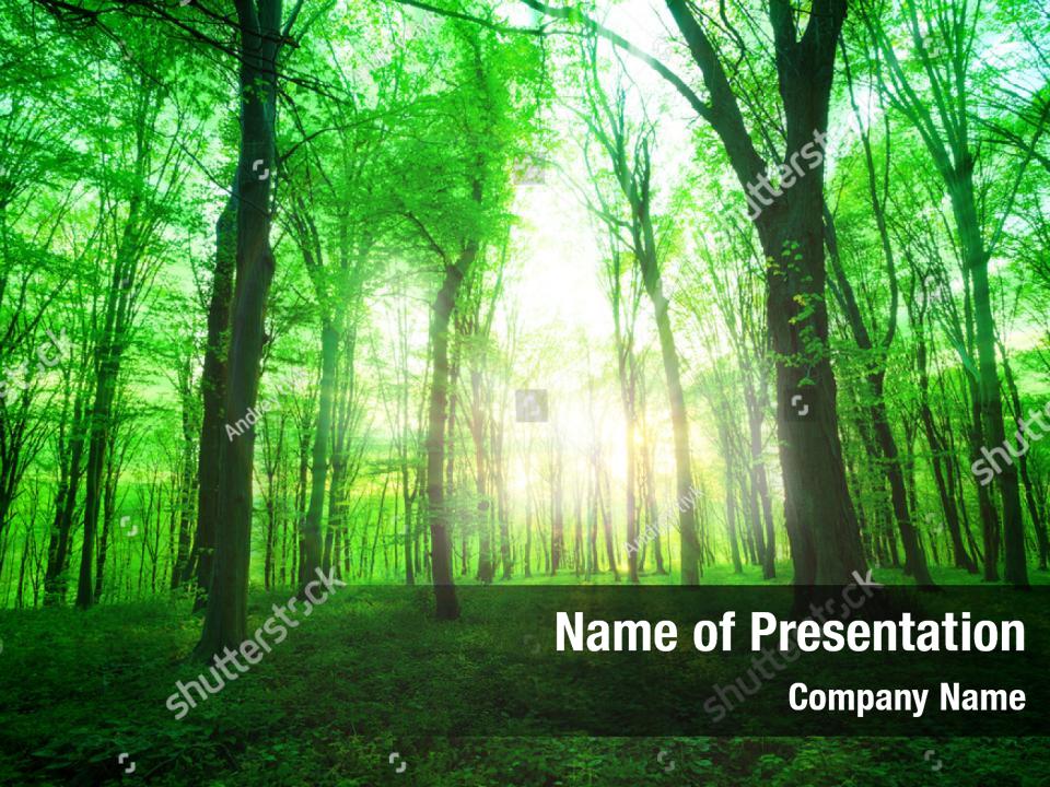 Through Sunlight Shines Powerpoint Template - Through Sunlight Shines 