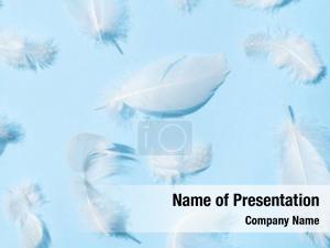 White Feathers PowerPoint Template