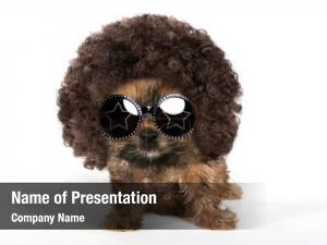 Cool Theme PowerPoint Template