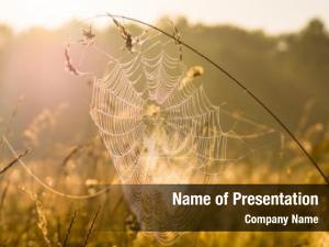 Indian Summer PowerPoint Template