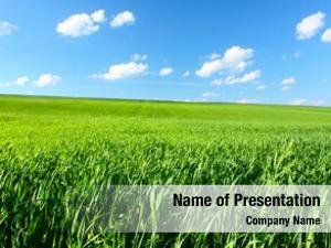 Green Grass Under Blue Sky PowerPoint Templates - Green Grass Under ...