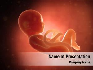 Fetus medical human month 