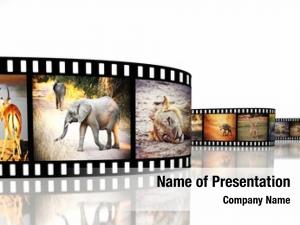 African film strip animals 