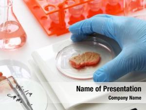 Lab cultured meat grown meat