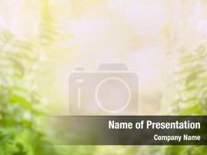  PowerPoint Template