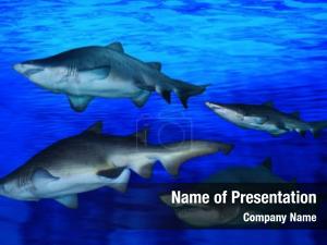 Blue Waters with Fish PowerPoint Template