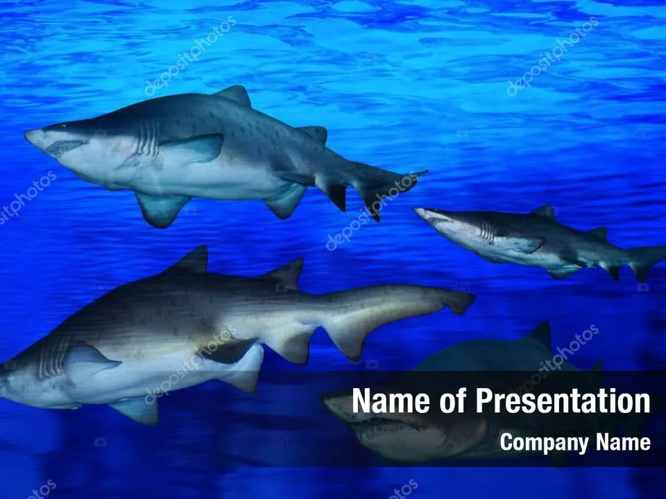 Blue Waters with Fish