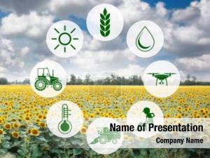 20+ Agriculture PowerPoint Templates - PowerPoint Backgrounds for Agriculture  Presentation