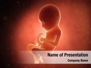 Fetus medical human month 