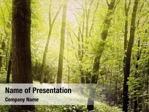 Botany PowerPoint Templates - Botany PowerPoint Backgrounds, Templates ...