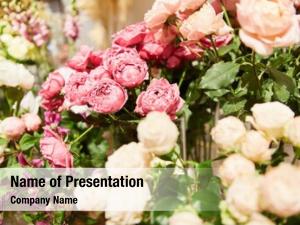 Flower Varieties PowerPoint Templates - Flower Varieties PowerPoint ...