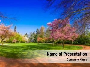 Spring Theme PowerPoint Template