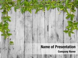 Vine Leaves Frame PowerPoint Template