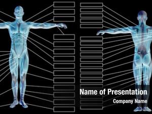 Man concept human anatomy muscle