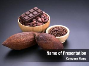 Cocoa cocoa pods beans wooden