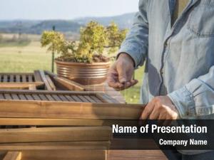 Assembling PowerPoint Template