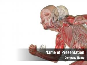 Conceptual anatomy concept human man