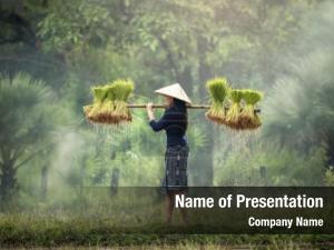 Life On The Farm PowerPoint Template