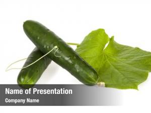 Vine Leaf PowerPoint Templates - Vine Leaf PowerPoint Backgrounds ...