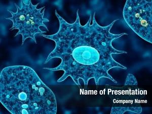 Amoebas on abstract powerpoint template