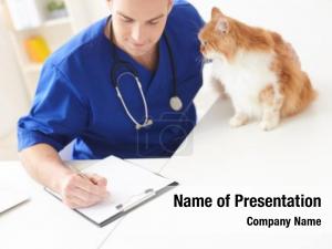 Medication cat veterinarian doctor