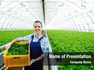 Successful young agro engineer PowerPoint Template