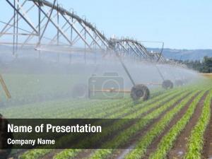 Using crop irrigation center pivot