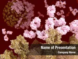 Antibodies