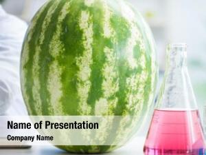 Watermelon scientist testing lab 