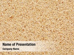 Grain PowerPoint Templates - Grain PowerPoint Backgrounds, Templates ...