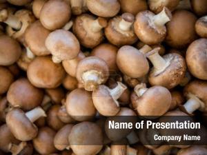 Mushrooms PowerPoint Template