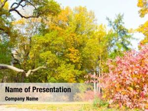 Foliage PowerPoint Templates - Foliage PowerPoint Backgrounds ...