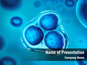 Stem Cells PowerPoint Template