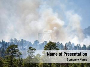 Coconino forest fire national forest