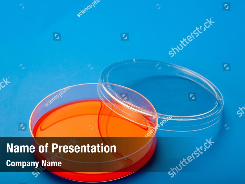 Blood petri dishes agar PowerPoint Template - Blood petri dishes agar ...