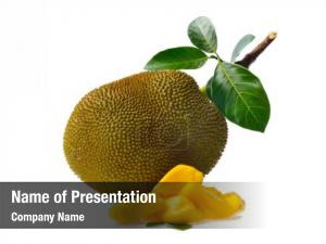 Jackfruit   PowerPoint Template