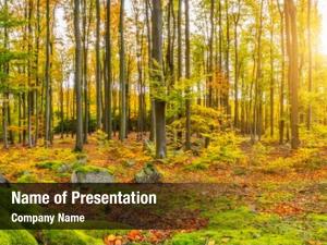 Photography Prints PowerPoint Templates - Photography Prints PowerPoint ...