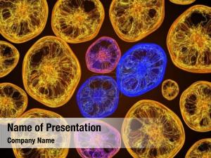 Microscope virus under   PowerPoint Template